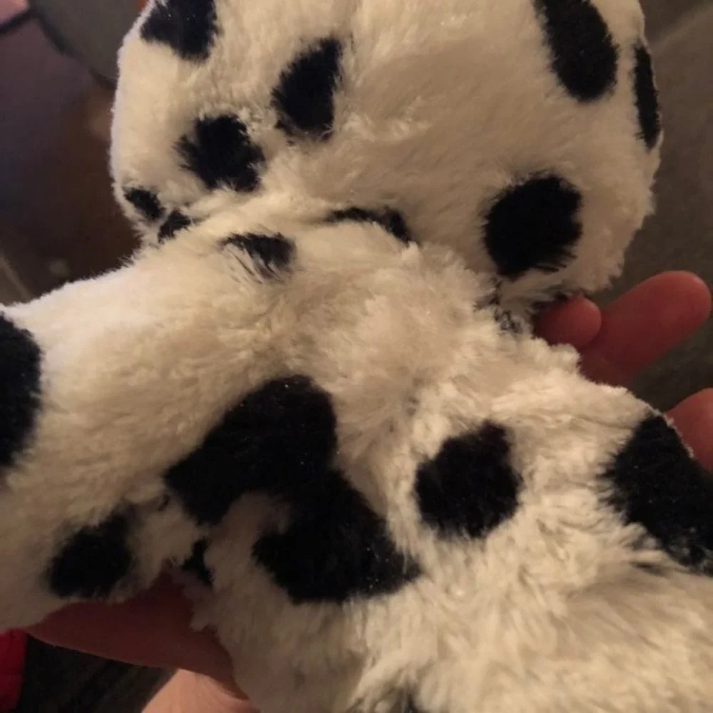 N/A present pets